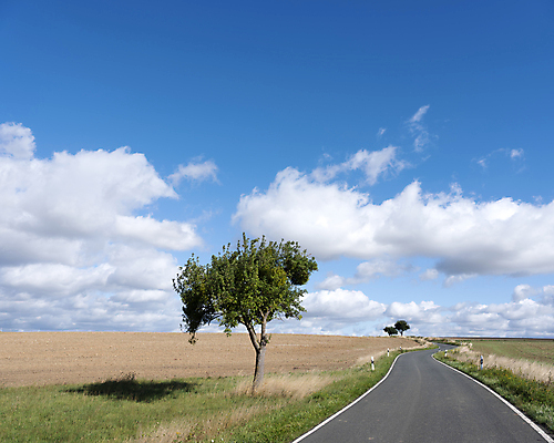 포토 JPG 해외이미지 나무 계절 유럽 도로 여행 밭 농업 자연 하늘 산 독일 파노라마 풍경 사람없음 야외 초록색 여름 파란색 농장 마을 환경 시골 언덕 지역 수평선 세련 해외포토 식물 나라 산업 길 컬러 교통시설 촬영기법 생태계 파일형식 이미지허브