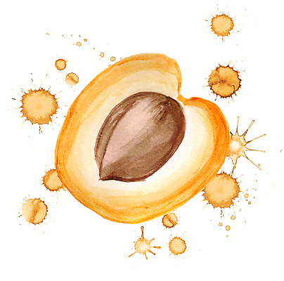 포토 JPG 해외이미지 손 디자인 음식 백그라운드 다이어트 오렌지 일러스트 재료 부분 자연 디저트 건강 미술 씨앗 사람없음 노란색 페인트 흰색 신선 얼룩 달콤 맛 떨어짐 스케치 자르기 오브젝트 그림 유기농 복숭아 내추럴 고립 살구 숙성 채식주의자 핵심 해외일러스트 식물 웰빙 컬러 컨셉 과일 모션 문화예술 신체부위 생태계 채식 파일형식 이미지허브