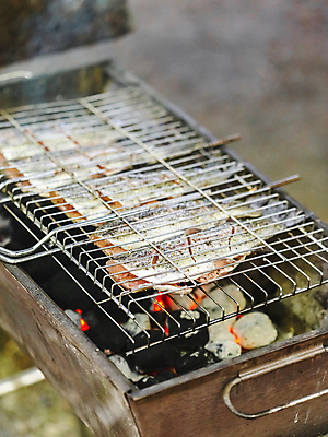 포토 JPG 해외이미지 불 낚시 어류 요리 사람없음 야외 소풍 파티 저녁식사 신선 그릴 바비큐 굽기 준비 숯 점심식사 송어 해외포토 자연요소 음식 주방용품 레저 이벤트 야외활동 식사 수중동물 구이 파일형식 이미지허브