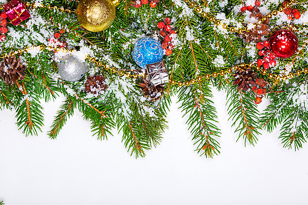 포토 JPG 해외이미지 나무 열매 백그라운드 크리스마스 겨울 공 지팡이 휴가 새로움 새해 사람없음 장식 초록색 상자 우주 공백 장식볼 추위 흰색 나뭇가지 축하 눈송이 연도 뼈대 전나무 원뿔 고립 노엘 제설기 국경 해외포토 도형 식물 계절 기념일 컬러 컨셉 눈_날씨 제설 파일형식 이미지허브