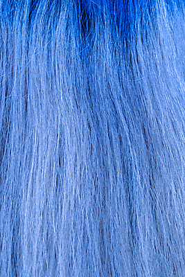 포토 JPG 해외이미지 1 헤어스타일 여자 백그라운드 추상 건강 사람 성인 사람없음 치료 파란색 빛 뷰티 노란색 머리 유행 닫기 확대 실크 이발 자르기 묘사 가발 질감 각도 머리장식 손질 샴푸 내추럴 돌봄 스타일링 직진 스타일 해외포토 컬러 무늬 의학 모션 신체부위 장식 위생용품 직물 파일형식 이미지허브