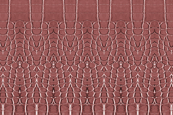 포토 JPG 해외이미지 디자인 백그라운드 패턴 파충류 벽지 표면 추상 사람없음 장식 유행 어둠 수확 뱀 재산 고급 가죽 천 피부 질감 눈금 도마뱀 악어 스타일 해외포토 동물 컨셉 무늬 농업 신체부위 금융 직물 파일형식 이미지허브