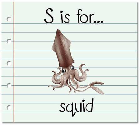 EPS 해외이미지 한마리 알파벳 영어 일러스트 영어교육 사람없음 단어 오징어 S 단어카드 해외일러스트 문자 1 교육 연체동물 수중동물 파일형식 벡터 단어장 이미지허브