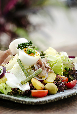 포토 JPG 해외이미지 접시 음식 채소 건강 사람없음 야외 빛 컬러풀 식사 샐러드 시골 신선 닫기 지중해 유기농 내추럴 섞기 해외포토 식기 웰빙 바다 컬러 모션 파일형식 이미지허브