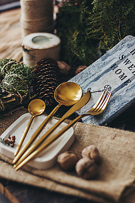 포토 JPG 해외이미지 식기 접시 디자인 음식 백그라운드 포크 컨셉 크리스마스 탁자 주방용품 사람없음 장식 빛 세트 금속 주방 요식업 식당 숟가락 식사 저녁식사 장비 기구 공구 축하 황금 칼 고급 우아함 먹기 오브젝트 서비스 설정 점심식사 고립 철강 해외포토 기념일 산업 가구 생활용품 모션 재질 수저 상점 도구 파일형식 이미지허브