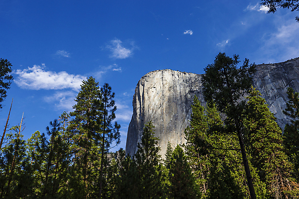 포토 JPG 해외이미지 산 사람없음 캘리포니아 요세미티국립공원 해외포토 국립공원 미국 파일형식 이미지허브