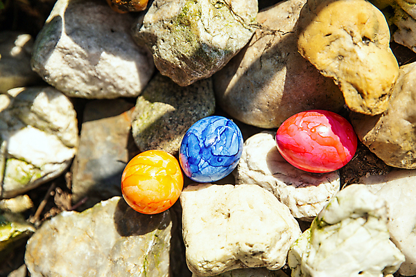 포토 JPG 해외이미지 식물 전통 손 계절 꽃 행복 분홍색 백그라운드 꽃무늬 밭 오렌지 자연 휴가 부활절 이벤트 사람없음 야외 장식 가로 초록색 파란색 컬러풀 노란색 우주 계란 축제 봄 흰색 축하 신선 그리기 심볼 사냥 숨김 고립 숨기 해외포토 기념일 감정 컬러 컨셉 무늬 농업 과일 모션 신체부위 알 생태계 파일형식 이미지허브