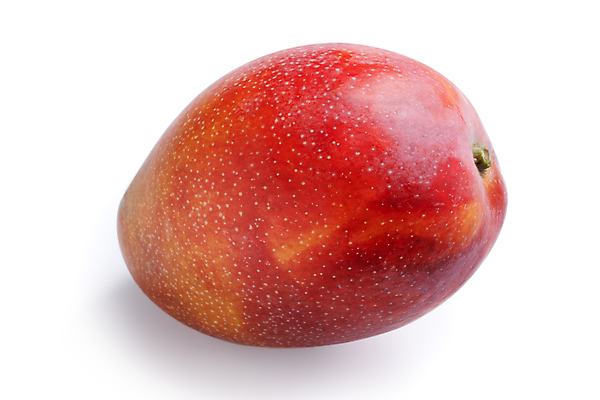 포토 JPG 해외이미지 스튜디오촬영 근접촬영 사람없음 빨간색 망고 해외포토 뷰포인트 컬러 실내 열대과일 파일형식 이미지허브