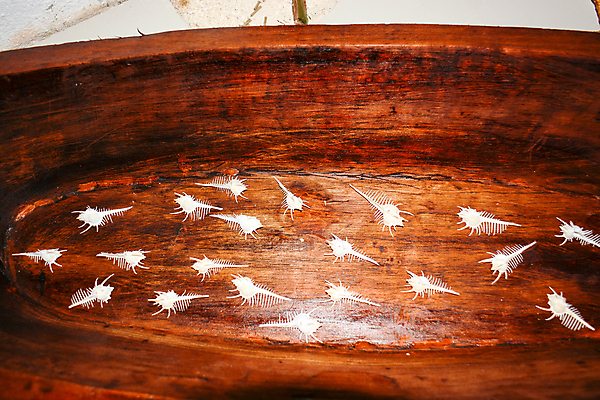 포토 JPG 해외이미지 전통 문화 바다 섬 자연 휴가 사람없음 믿음 환경 역사 심볼 몰디브 습관 해외포토 감정 아시아 생태계 파일형식 이미지허브