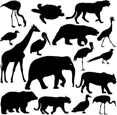 EPS 해외이미지 동물 디자인 실루엣 야생동물 선 백그라운드 일러스트 곰 포유류 아프리카 자연 조류 코끼리 오리 동물원 그래픽 장식 머리 검은색 흰색 호랑이 거북이 왜가리 펠리컨 심볼 사파리 기중기 그림 질감 거위 꿩 표범 부족 고립 동물상 엘리먼트 해외일러스트 나라 컬러 컨셉 파충류 촬영기법 신체부위 조형물 중장비 생태계 파일형식 벡터 이미지허브