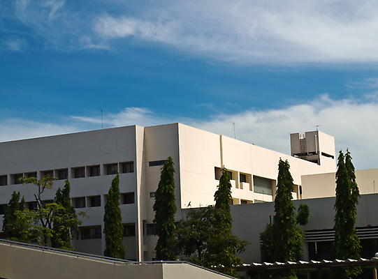 포토 JPG 해외이미지 식물 직업 외관 산업 회사 비즈니스 건축양식 바닥 직장 병원 사람없음 야외 건물 사무실 우주 센터 재산 중앙 큼 주차 땅 시설 투자 조경 치수 대여 기관 복잡 임대 진짜 획기적 해외포토 건축물 건축 컨셉 의학 금융 경제 크기 파일형식 이미지허브