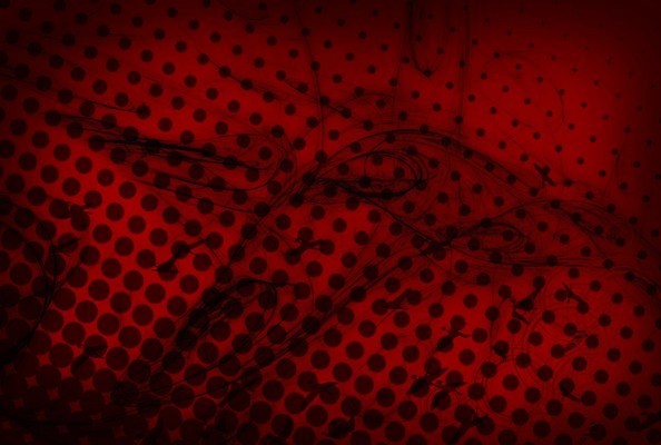 포토 JPG 해외이미지 디자인 종이 백그라운드 꽃무늬 패턴 오렌지 벽지 추상 미술 경사 사람없음 장식 컬러풀 어둠 페인트 골동품 시골 직물 점 얼룩 거친 화려 황폐 떨어짐 천 질감 비네팅 구식 그런지 대칭 양피지 페이즐리 부족함 해외포토 꽃 컬러 컨셉 무늬 과일 문화예술 촬영기법 파일형식 이미지허브