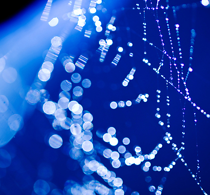 포토 JPG 해외이미지 디자인 줄 곤충 패턴 목걸이 자연 아침 전등 사람없음 물 파란색 빛 반사 웹 어둠 안개 물방울 잡기 원형 그물 네트워크 실 선택 소프트포커스 이슬 연결 위험 무서움 크리스탈 보석 실크 거미줄 질감 다이아몬드 거미 올가미 내추럴 고립 복잡 해외포토 주간 자연요소 도형 동물 감정 컬러 컨셉 무늬 인터넷 장신구 모션 날씨 조명 촬영기법 직물 광석 생태계 파일형식 이미지허브