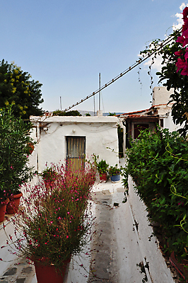 포토 JPG 해외이미지 식물 전통 외관 꽃 유럽 길 건축양식 거리 주택 협상 사람없음 마을 정원 흰색 도시 그리기 역사 작음 오솔길 지중해 그리스 그림 복고 심플 좁은 아테네 이웃 방법 옛날 해외포토 건축 나라 바다 컬러 비즈니스 모션 건물 크기 파일형식 이미지허브