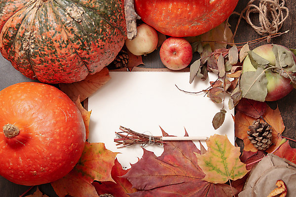 포토 JPG 해외이미지 종이 단풍 낙엽 호박 실내 사람없음 사과 카피스페이스 해외포토 잎 채소 과일 내부 공백 파일형식 이미지허브