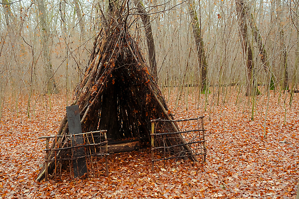 포토 JPG 해외이미지 나무 공원 컨셉 잎 건축양식 자연 조류 주택 매달리기 텐트 풍경 사람없음 야외 건물 목재 초록색 상자 환경 하이킹 나뭇가지 황무지 둥지 숲 오두막 인도인 새장 내추럴 판잣집 핸드메이드 생존 그리너리 해외포토 외국인 식물 동물 건축물 공공시설 건축 컬러 재료 모션 레저 캠핑도구 동양인 생태계 케이지 파일형식 트랜드컬러 이미지허브