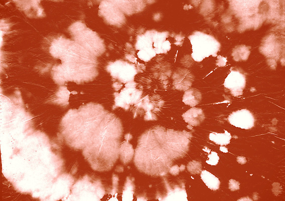 포토 JPG 해외이미지 디자인 꽃 문화 백그라운드 셔츠 패턴 넥타이 잉크 나선형 사랑 미술 사람없음 빨간색 물 빛 유행 평화 일본 젖음 소용돌이 흰색 하트 죽음 직물 원형 60대 인쇄 타일 질감 70대 염색 그런지 멀티 옛날 환각 히피 효과 해외포토 자연요소 모양 도형 식물 잡화 노년 감정 아시아 컬러 컨셉 상의 무늬 문화예술 회오리 증상 파일형식 이미지허브