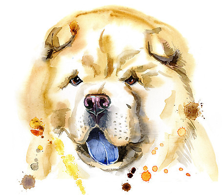 포토 JPG 해외이미지 디자인 백그라운드 일러스트 수채화 미술 사람없음 반려동물 개 강아지 차우차우 해외일러스트 동물 포유류 문화예술 파일형식 이미지허브