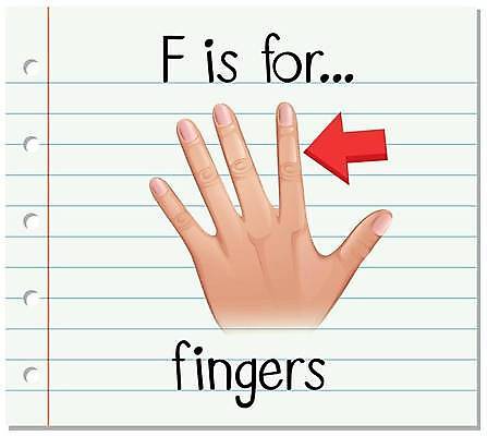 EPS 해외이미지 손 알파벳 영어 화살표 일러스트 손가락 영어교육 신체부위 단어 F 단어카드 해외일러스트 문자 교육 사람 파일형식 벡터 단어장 이미지허브