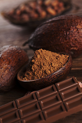 포토 JPG 해외이미지 디저트 사람없음 아웃포커스 쌓기 초콜릿 달콤 카카오열매 코코아가루 나무배경 해외포토 열매 음식 백그라운드 모션 촬영기법 맛 가루 카카오 파일형식 이미지허브