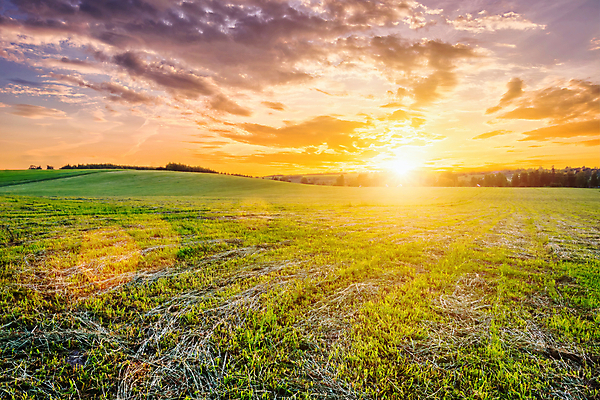 포토 JPG 해외이미지 자연 하늘 사람없음 야외 햇빛 태양 농경지 일몰 해외포토 자연요소 농장 노을 생태계 파일형식 이미지허브