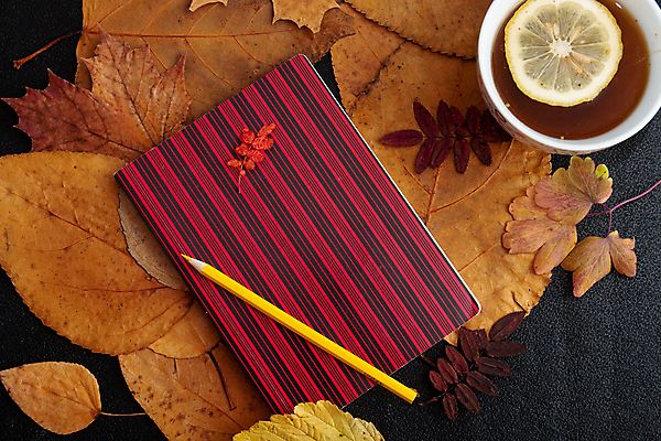 포토 JPG 해외이미지 나무 계절 종이 음료 백그라운드 단풍 잎 패턴 오렌지 탁자 검은배경 따뜻함 창조 미술 취미 사람없음 목재 책 컵 빨간색 초록색 연필 노란색 다이어리 공책 가을 뜨거움 그리기 차 9월 11월 레몬 그림 체크무늬 비타민 고무 10월 건포도 정물화 플랫레이 카피스페이스 해외포토 식물 식기 컬러 가구 무늬 과일 재료 모션 포도 문화예술 문구용품 학용품 필기구 사무용품 검은색 공백 날짜 플랫 건과일 영양소 파일형식 이미지허브