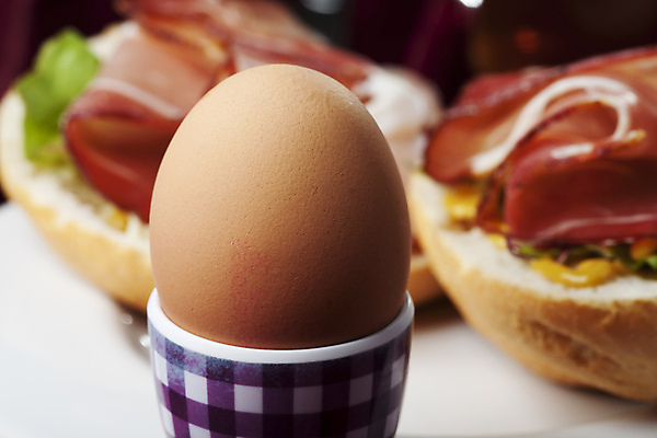 포토 JPG 해외이미지 접시 음식 잎 아침 샌드위치 건강 요리 사람없음 빨간색 갈색 계란 이불 샐러드 차 아침식사 담요 머스터드 대륙 싱글 햄 베이컨 번 삶기 벨벳 해외포토 주간 식물 식기 음료 빵 컬러 침구 육류 돼지고기 알 식사 소스_음식 실크 파일형식 이미지허브