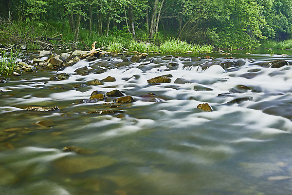 포토 JPG 해외이미지 나무 계절 공원 유럽 여행 잎 밭 자연 풍경 사람없음 야외 목재 가로 초록색 물 여름 강 환경 봄 흐름 바위 흰색 시골 신선 개울 숲 질감 장면 내추럴 무료 생태학 옛날 해외포토 자연요소 식물 공공시설 교육 나라 컬러 컨셉 농업 재료 돌_바위 생태계 파일형식 이미지허브