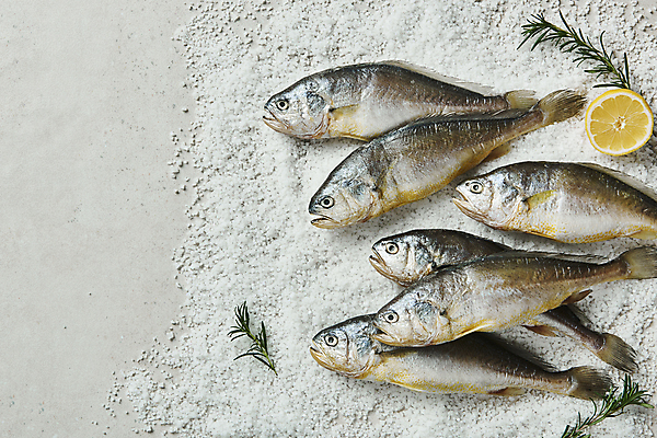 포토 JPG 스튜디오촬영 여러마리 식재료 회색배경 단면 실내 사람없음 하이앵글 레몬 소금 로즈메리 굴비 국내포토 뷰포인트 다수 백그라운드 과일 어류 내부 회색 허브 파일형식