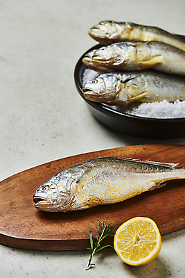 포토 JPG 스튜디오촬영 그릇 여러마리 식재료 회색배경 단면 실내 사람없음 레몬 소금 로즈메리 굴비 나무도마 국내포토 식기 다수 백그라운드 과일 도마 어류 내부 목재 회색 허브 파일형식