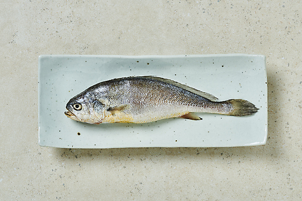 포토 JPG 스튜디오촬영 한마리 접시 식재료 회색배경 실내 사람없음 하이앵글 굴비 국내포토 1 식기 뷰포인트 백그라운드 어류 내부 회색 파일형식