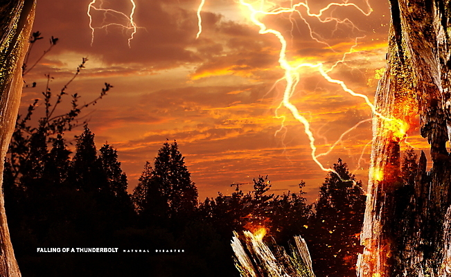 PSD 나무 구름 편집이미지 하늘 불 사람없음 주황색 숲 번개 자연재해 뇌우 이미지편집 자연요소 식물 컬러 날씨 재해 파일형식