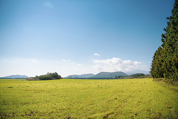 포토 JPG 주간 나무 구름 하늘 풍경 초원 사람없음 야외 제주도 가을 오름 평야 제동목장 국내포토 자연요소 식물 계절 자연 한국 파일형식