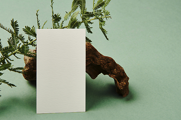 포토 JPG 스튜디오촬영 나무 명함 프레임 실내 사람없음 한개 기댐 공백 오브젝트 나무조각 디자인소스 목업 카피스페이스 편집소스 초록배경 은엽 국내포토 식물 1 백그라운드 모션 내부 목재 초록색 파일형식