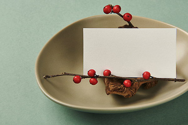 포토 JPG 스튜디오촬영 접시 명함 프레임 실내 사람없음 공백 나뭇가지 오브젝트 나무조각 디자인소스 목업 카피스페이스 편집소스 초록배경 낙상홍 국내포토 나무 식물 식기 백그라운드 내부 목재 초록색 파일형식