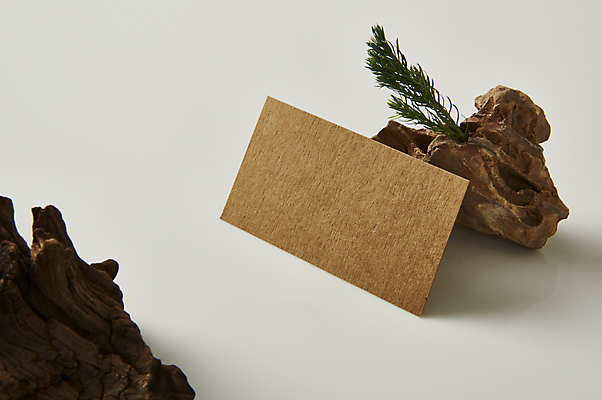 포토 JPG 스튜디오촬영 나무 종이 잎 명함 프레임 실내 사람없음 기댐 공백 오브젝트 흰배경 나무조각 디자인소스 목업 카피스페이스 편집소스 서리화백 국내포토 식물 백그라운드 모션 내부 목재 흰색 파일형식