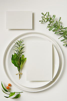 포토 JPG 스튜디오촬영 접시 열매 잎 프레임 실내 사람없음 하이앵글 공백 풀 오브젝트 흰배경 엽서 디자인소스 목업 카피스페이스 편집소스 은엽 사계귤 국내포토 카드프레임 식물 식기 뷰포인트 백그라운드 내부 흰색 편지 파일형식