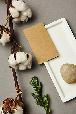 포토 JPG 스튜디오촬영 접시 잎 명함 회색배경 프레임 실내 사람없음 공백 돌_바위 나뭇가지 오브젝트 디자인소스 목화꽃 목업 카피스페이스 편집소스 서리화백 국내포토 나무 식물 식기 꽃 백그라운드 내부 회색 파일형식