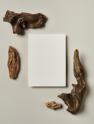 포토 JPG 스튜디오촬영 나무 회색배경 프레임 실내 사람없음 하이앵글 공백 돌_바위 오브젝트 엽서 나무조각 디자인소스 목업 카피스페이스 편집소스 국내포토 식물 뷰포인트 백그라운드 내부 목재 회색 편지 파일형식