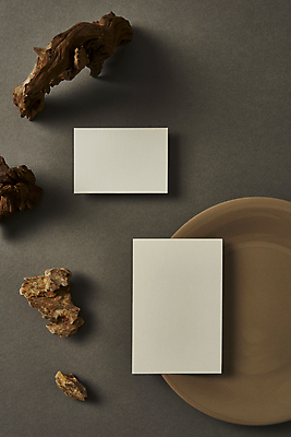 포토 JPG 스튜디오촬영 나무 접시 회색배경 프레임 실내 사람없음 하이앵글 공백 돌_바위 오브젝트 엽서 나무조각 디자인소스 목업 카피스페이스 편집소스 국내포토 카드프레임 식물 식기 뷰포인트 백그라운드 내부 목재 회색 편지 파일형식
