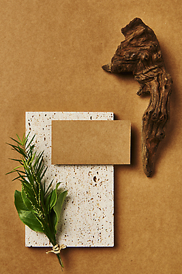 포토 JPG 스튜디오촬영 나무 잎 명함 프레임 실내 사람없음 하이앵글 공백 풀 오브젝트 나무조각 돌판 디자인소스 목업 카피스페이스 편집소스 갈색배경 국내포토 식물 뷰포인트 백그라운드 내부 목재 갈색 돌_바위 파일형식