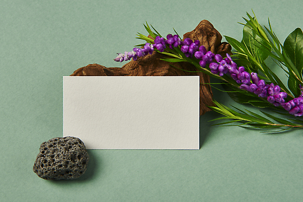 포토 JPG 스튜디오촬영 나무 꽃 잎 명함 프레임 실내 사람없음 기댐 공백 오브젝트 디자인소스 현무암 목업 카피스페이스 편집소스 초록배경 블루세이지 국내포토 식물 백그라운드 모션 내부 초록색 화산암 파일형식