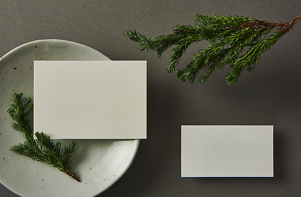 포토 JPG 스튜디오촬영 접시 잎 명함 회색배경 프레임 실내 사람없음 하이앵글 공백 나뭇가지 오브젝트 디자인소스 목업 카피스페이스 편집소스 서리화백 국내포토 나무 식물 식기 뷰포인트 백그라운드 내부 회색 파일형식