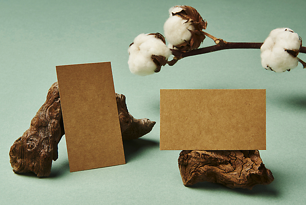 포토 JPG 스튜디오촬영 나무 줄기 명함 프레임 실내 사람없음 기댐 공백 오브젝트 디자인소스 목화꽃 목업 카피스페이스 편집소스 국내포토 식물 꽃 모션 내부 파일형식