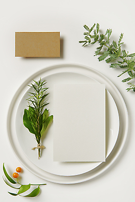 포토 JPG 스튜디오촬영 접시 열매 잎 명함 프레임 실내 사람없음 하이앵글 공백 풀 오브젝트 흰배경 엽서 디자인소스 목업 카피스페이스 편집소스 은엽 사계귤 국내포토 식물 식기 뷰포인트 백그라운드 내부 흰색 편지 파일형식