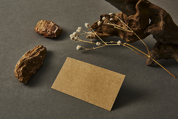 포토 JPG 스튜디오촬영 나무 명함 회색배경 프레임 실내 사람없음 공백 돌_바위 오브젝트 안개꽃 나무조각 디자인소스 목업 카피스페이스 편집소스 국내포토 식물 꽃 백그라운드 내부 목재 회색 한해살이풀 파일형식