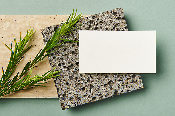포토 JPG 스튜디오촬영 명함 프레임 실내 사람없음 하이앵글 공백 풀 오브젝트 돌판 디자인소스 목업 카피스페이스 편집소스 초록배경 국내포토 식물 뷰포인트 백그라운드 내부 초록색 돌_바위 파일형식