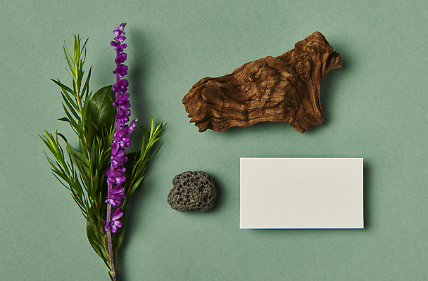 포토 JPG 스튜디오촬영 나무 꽃 잎 명함 프레임 실내 사람없음 하이앵글 공백 풀 오브젝트 나무조각 디자인소스 현무암 목업 카피스페이스 편집소스 초록배경 블루세이지 국내포토 식물 뷰포인트 백그라운드 내부 목재 초록색 화산암 파일형식