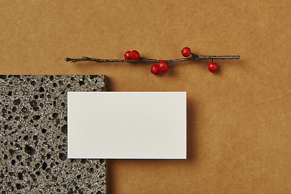 포토 JPG 스튜디오촬영 열매 명함 프레임 실내 사람없음 하이앵글 공백 나뭇가지 오브젝트 돌판 디자인소스 목업 카피스페이스 편집소스 갈색배경 낙상홍 국내포토 나무 식물 뷰포인트 백그라운드 내부 갈색 돌_바위 파일형식