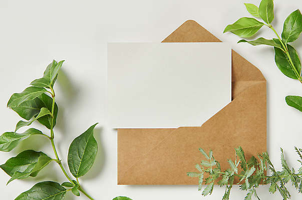 포토 JPG 스튜디오촬영 잎 편지봉투 프레임 실내 사람없음 하이앵글 공백 풀 오브젝트 흰배경 엽서 디자인소스 목업 카피스페이스 편집소스 은엽 레몬트리 국내포토 식물 뷰포인트 백그라운드 봉투 내부 흰색 편지 파일형식
